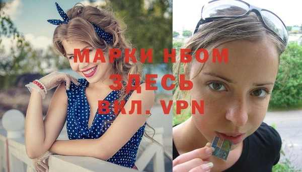 Альфа ПВП Баксан