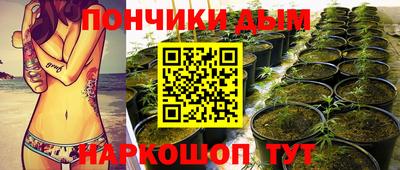 шишки Баксан