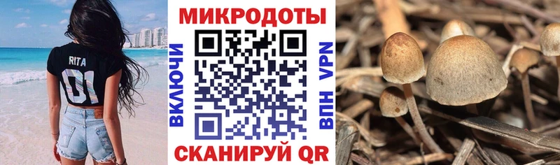 OMG ТОР  что такое наркотик  Белогорск  Псилоцибиновые грибы MAGIC MUSHROOMS 